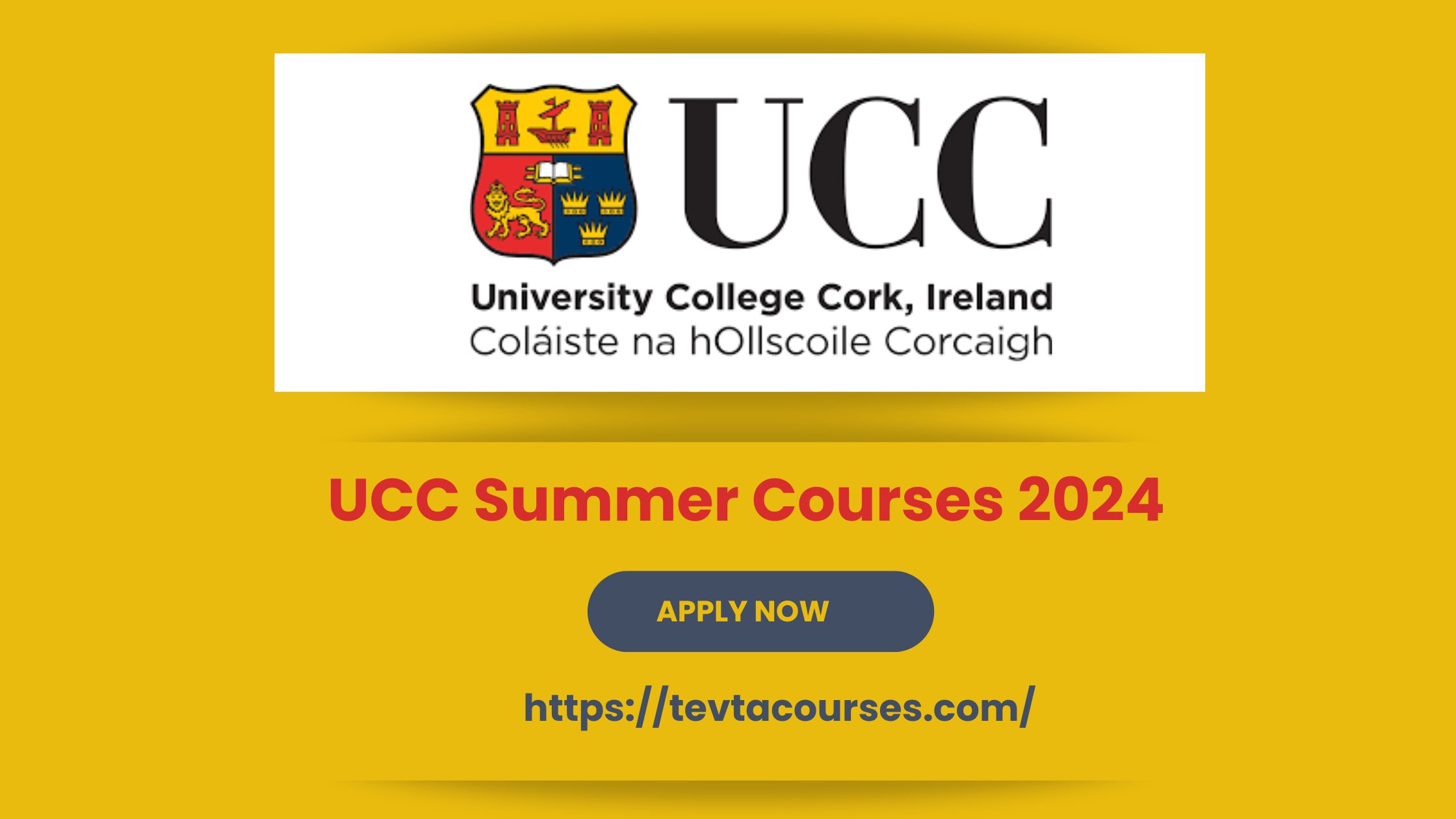 UCC Summer Courses 2024