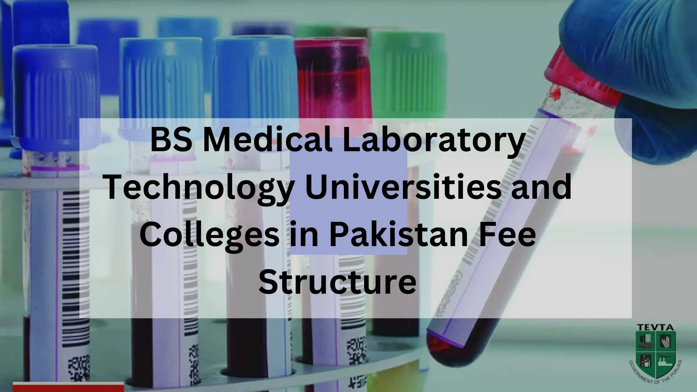 BS Medical Laboratory Technology Universities and Colleges in Pakistan Fee Structure
