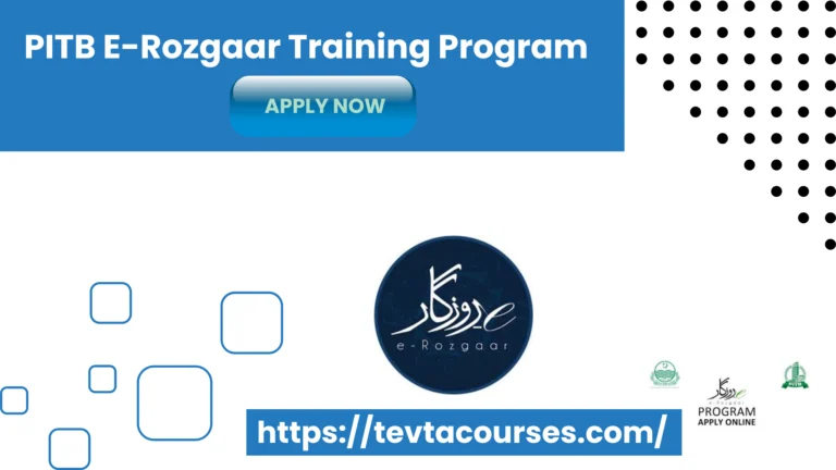 PITB E-Rozgaar Training Program 3 PITB E-Rozgaar Training Program