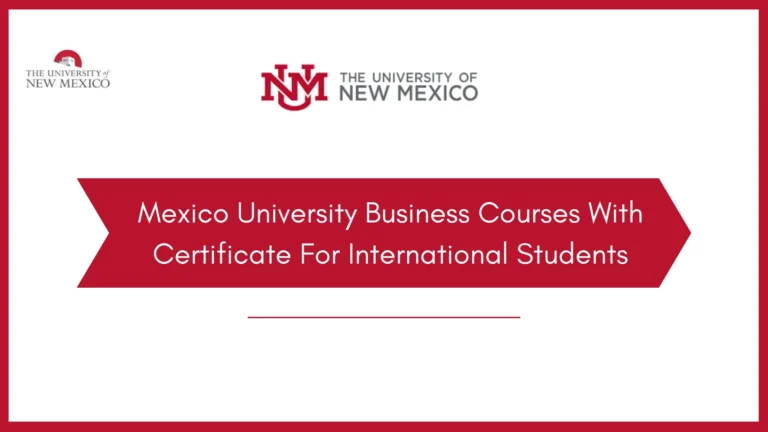 Mexico University Business Courses With Certificate For International Students 3 Mexico University Business Courses With Certificate For International Students