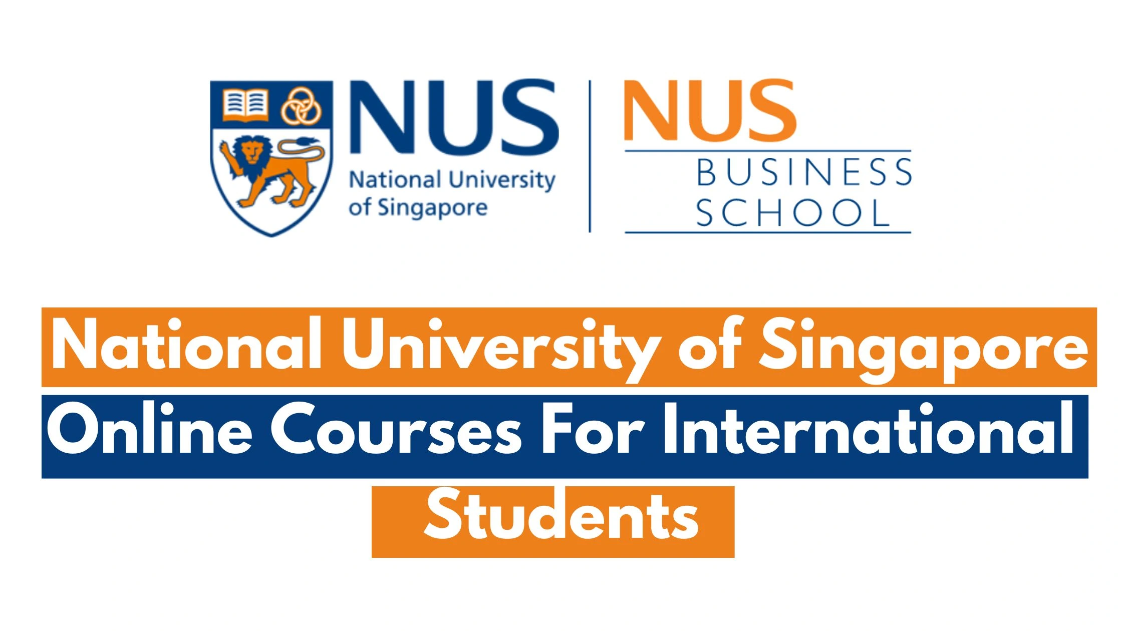 National University of Singapore Online Courses For International Students