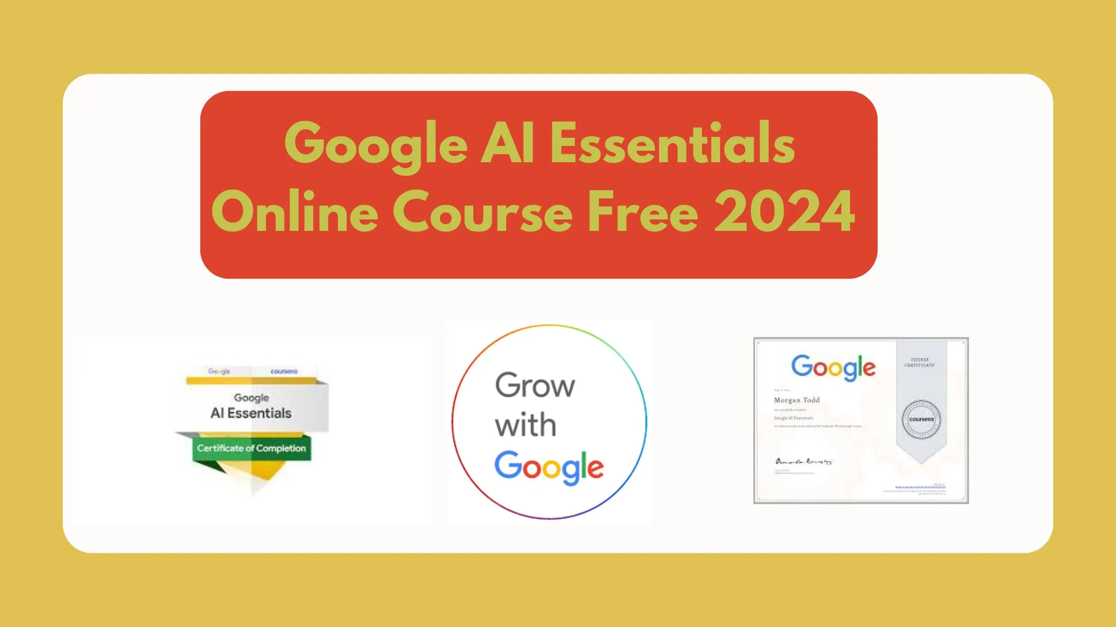 Google shops courses